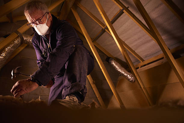 Best DIY Insulation Kits and Guidance in Houston, PA